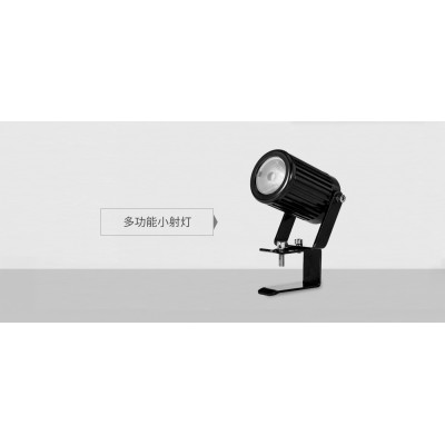 MULTI-FUNCTION SMALL SPOTLIGHT